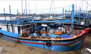 Đắk Lắk hỗ trợ ngư dân chuyển đổi nghề nghiệp