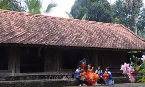 Xuân trên làng di sản Trường Lưu