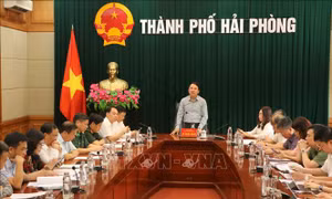 Hải Phòng chủ động xây dựng phương án phòng, chống dịch COVID-19