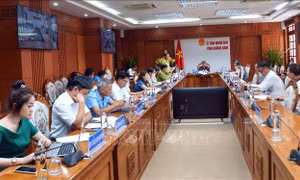 Bàn giải pháp nâng cao chất lượng kinh tế rừng trồng