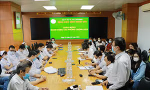 TP Hồ Chí Minh cần chủ động lên phương án phòng ngừa dịch bệnh lây lan