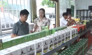 Đột phá phát triển nông sản chủ lực