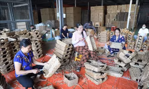Chuyển hóa chương trình, nghị quyết thành mô hình và kết quả cụ thể