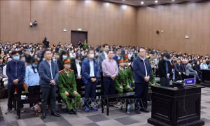 Xét xử vụ án Tân Hoàng Minh: Huy động tiền của 6.630 nhà đầu tư vào nhiều mục đích khác nhau