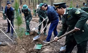 Phó Thủ tướng Trần Hồng Hà tham gia Tết trồng cây nhớ ơn Bác Hồ