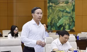 Không biến hoạt động đại lý ngân hàng thương mại thành 'giấy chứng nhận an toàn' cho trái phiếu