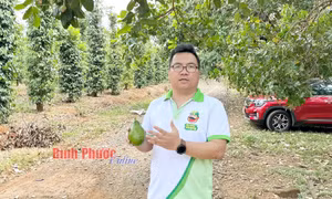Đặng Dương Minh Hoàng tiên phong với 'nông nghiệp số'