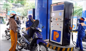 Xăng E10 chính thức 'phủ kín' thị trường bán lẻ Quảng Ngãi