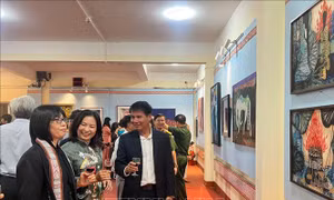 Triển lãm 'Về miền đất đỏ' tôn vinh nữ họa sĩ ba miền
