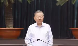 Tổng Bí thư, Chủ tịch nước Tô Lâm: TP Hồ Chí Minh phải đi đầu, biến các nghị quyết chiến lược thành thực tiễn sống động