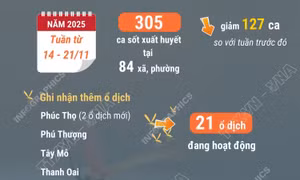 Hà Nội ca mắc sốt xuất huyết vẫn còn cao