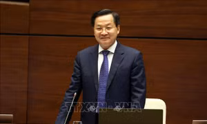 Phó Thủ tướng: Không ghi nhận trường hợp sở hữu chéo trên hồ sơ, sổ sách ngân hàng