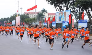 Trên 400 vận động viên tham gia Giải việt dã ở Ninh Bình
