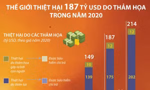 Thế giới thiệt hại 187 tỷ USD do thảm họa trong năm 2020