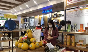 Kết nối cung cầu đưa sản phẩm nông nghiệp đến người tiêu dùng