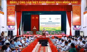 Thủ tướng Phạm Minh Chính: Nông dân là chủ thể 'Cuộc cách mạng lúa gạo'