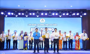 Nhân rộng điển hình tiên tiến, gương lao động sáng tạo