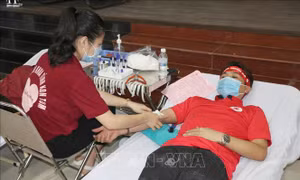 Ngày hội hiến máu 'Giọt hồng Kon Tum'