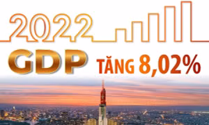 GDP năm 2022 tăng 8,02%