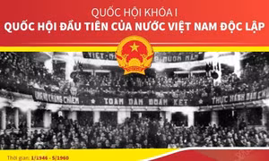 Quốc hội khóa I: Quốc hội đầu tiên của nước Việt Nam độc lập