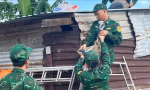 Khôi phục nhanh nhất hạ tầng, bảo đảm cung cấp viễn thông tại khu vực bị ảnh hưởng do bão 