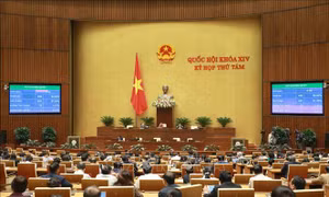 Kỳ họp thứ 8, Quốc hội khóa XIV: Thông qua hai Nghị quyết