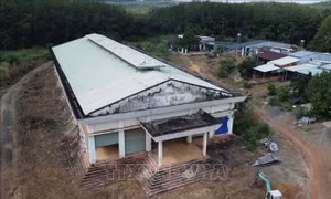 Chợ đầu tư tiền tỷ bỏ hoang gần 20 năm
