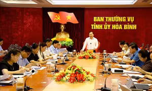 Bảo tồn, phát huy giá trị văn hóa dân tộc Mường và nền 'Văn hóa Hòa Bình'