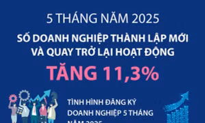 5 tháng năm 2025, số doanh nghiệp thành lập mới và quay trở lại hoạt động tăng 11,3%