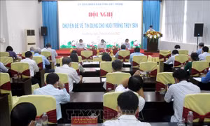 Tăng khả năng tiếp cận vốn và tín dụng cho người nuôi tôm