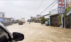 Đắk Lắk khẩn trương ứng phó đợt lũ đặc biệt lớn, nguy cơ vượt mốc lịch sử