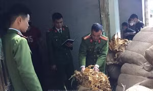Đấu tranh với thủ đoạn buôn lậu thuốc lá nguyên liệu tinh vi tại vùng biên giới