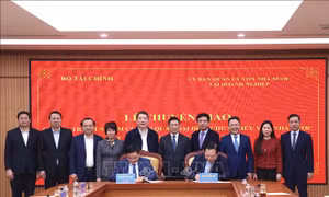 Chuyển giao quyền đại diện chủ sở hữu vốn nhà nước tại 18 Tập đoàn, Tổng công ty