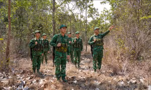 Phát huy nguồn nhân lực trẻ sau những tháng ngày quân ngũ