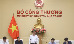 Dự án đường dây 500kV Lào Cai - Vĩnh Yên đã bàn giao gần 93% vị trí móng