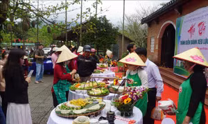 Thu hút du khách đến quê hương nhà chí sỹ yêu nước Huỳnh Thúc Kháng 