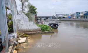 Cần Thơ kiến nghị hỗ trợ kinh phí khắc phục sạt lở kênh Xáng Nàng Mau