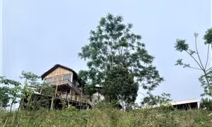 Bình Định: Thành lập đoàn liên ngành kiểm tra farmstay bị du khách phản ánh tính tiền giá cao
