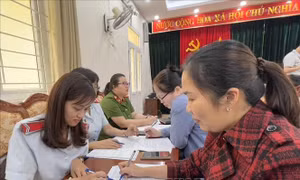 Hà Nội: Thanh tra 20 doanh nghiệp chậm nộp bảo hiểm xã hội