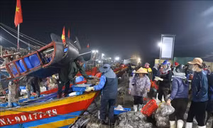 Nhộn nhịp chợ hải sản lúc rạng sáng nơi miền chân sóng dịp cuối năm