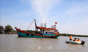 Khắc phục 'thẻ vàng' IUU: Quyết liệt xử lý vi phạm