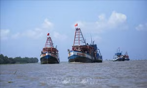 An Giang hỗ trợ ngư dân nâng cấp 'mắt thần' chống khai thác IUU