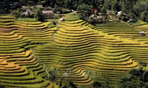 Quyến rũ tháng 10