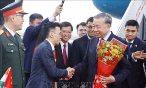 Tổng Bí thư, Chủ tịch nước Tô Lâm bắt đầu thăm cấp Nhà nước Cộng hòa Ấn Độ