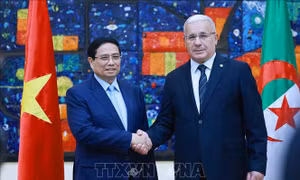 Truyền thông Algeria tiếp tục đưa tin đậm nét về hoạt động của Thủ tướng Phạm Minh Chính