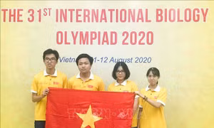 4/4 học sinh Việt Nam đoạt giải tại Olympic Sinh học quốc tế 2020