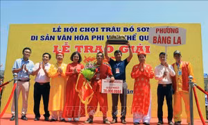 Lễ hội Chọi trâu Đồ Sơn 2019: Những trận tỷ thí kiên cường