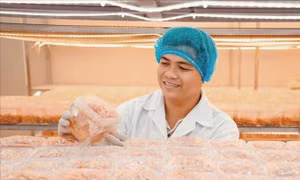 Phát huy vai trò tiên phong của thanh niên trong kỷ nguyên mới
