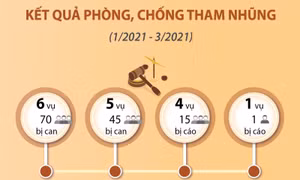 Kết quả phòng, chống tham nhũng (từ sau phiên họp 19 tháng 1/2021 đến nay)
