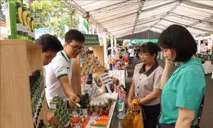 Tạo hiệu ứng khởi nghiệp, đổi mới sáng tạo ở Tây Nguyên